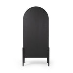 Tolle Bookcase Drifted Matte Black Back View Four Hands